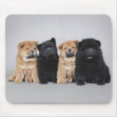 Vier kleine Chow Chow Welpen Mousepad (Vorne)