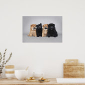 Vier kleine Chow Chow Welpen Poster (Küche)