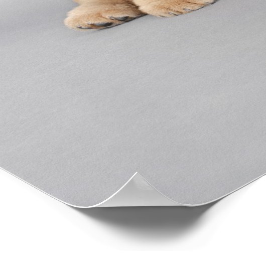 Vier kleine Chow Chow Welpen Poster (Ecke)