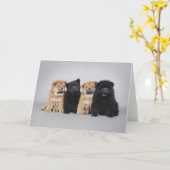 Vier kleine Chow-Chowwelpen Karte (Gelbe Blume)