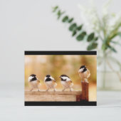 Vier kleine Küken Postkarte (Stehend Vorderseite)
