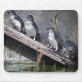 Vier kleine Pinguine Mousepad (Vorne)