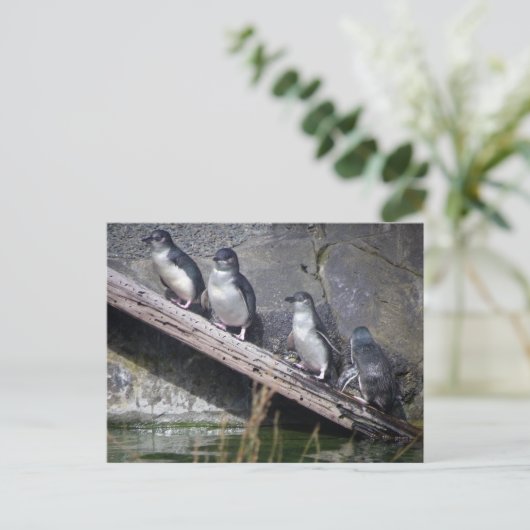 Vier kleine Pinguine Postkarte (Stehend Vorderseite)