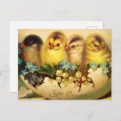 Vier Küken in einer Eierpostkarte Postkarte (Vorne/Hinten)