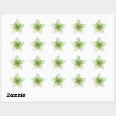 Vier-Leaf Lucky Clover Design Stern-Aufkleber (Blatt)