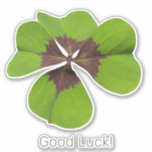 Vier Leaf Lucky Clover St Patricks Day Viel Glück Aufkleber (Vorderseite)