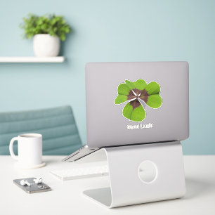 Vier Leaf Lucky Clover St Patricks Day Viel Glück Aufkleber