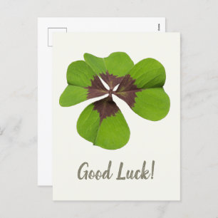 Vier Leaf Lucky Clover St Patricks Day Viel Glück Feiertagspostkarte
