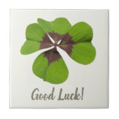 Vier Leaf Lucky Clover St Patricks Day Viel Glück Fliese (Vorderseite)