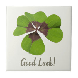 Vier Leaf Lucky Clover St Patricks Day Viel Glück Fliese