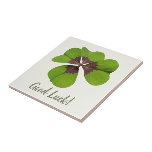 Vier Leaf Lucky Clover St Patricks Day Viel Glück Fliese (Seite)