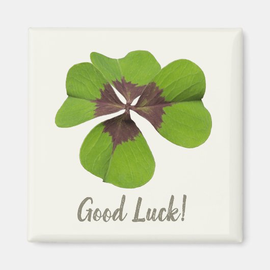 Vier Leaf Lucky Clover St Patricks Day Viel Glück Magnet (Vorne)
