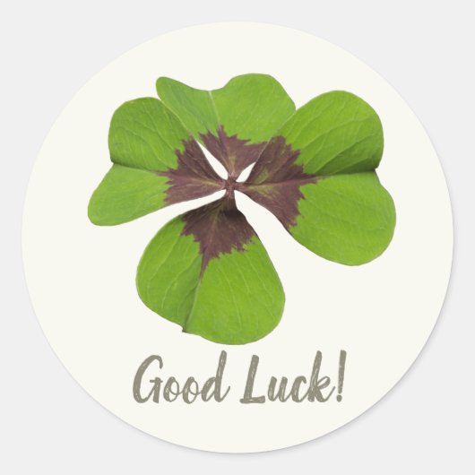 Vier Leaf Lucky Clover St Patricks Day Viel Glück Runder Aufkleber (Vorderseite)