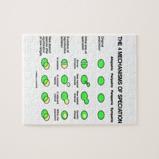 Vier Mechanismen Speciation (Evolution) Puzzle (Horizontal)
