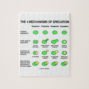 Vier Mechanismen Speciation (Evolution) Puzzle