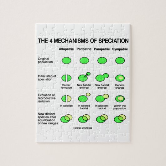 Vier Mechanismen Speciation (Evolution) Puzzle (Vertikal)
