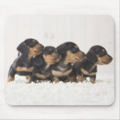 Vier Mini-Dackel Mousepad (Vorne)