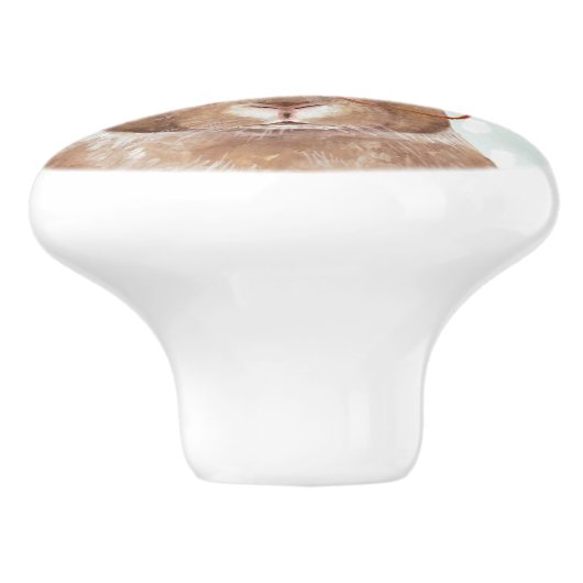 Vier-Mit Augen Forester | Bunny Rabbit Keramikknauf (Seitenansicht)