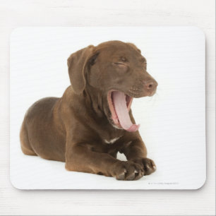 Vier-Monat-Alter gähnender Mousepad