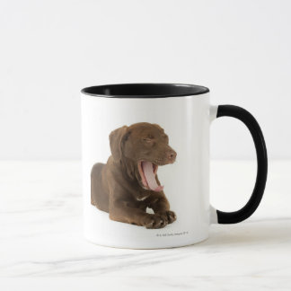 Vier-Monat-Alter gähnender Tasse