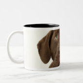 Vier-Monat-Altes Zweifarbige Tasse (Links)