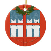 Vier nennende Katzen…