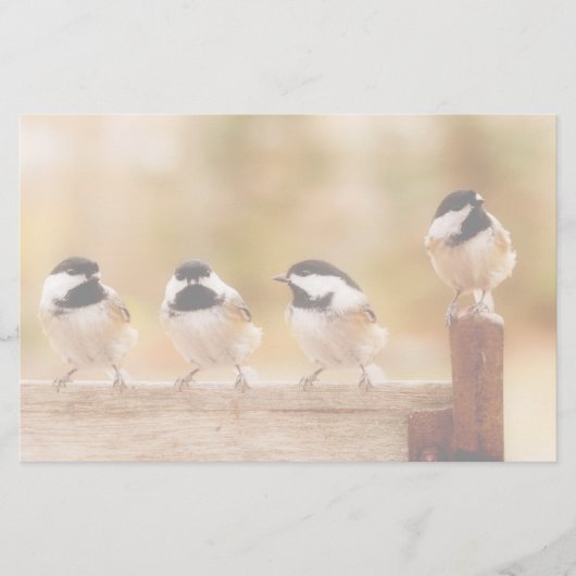 Vier niedliche Chickadees Briefpapier (Vorderseite)