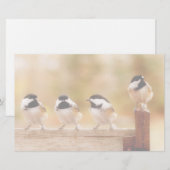 Vier niedliche Chickadees Briefpapier (Vorne/Hinten)