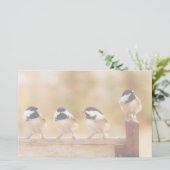 Vier niedliche Chickadees Briefpapier (Stehend Vorderseite)