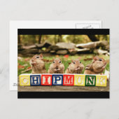 vier niedliche Chipsteine Postkarte (Vorne/Hinten)