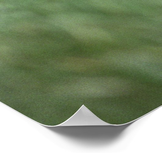 Vier niedliche Hundewelpen Poster (Ecke)