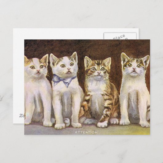 Vier Niedliche Kätzchen Vintage Illustration Postkarte (Vorne/Hinten)