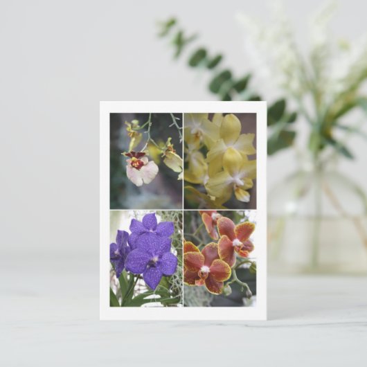Vier Orchideen Postkarte (Stehend Vorderseite)