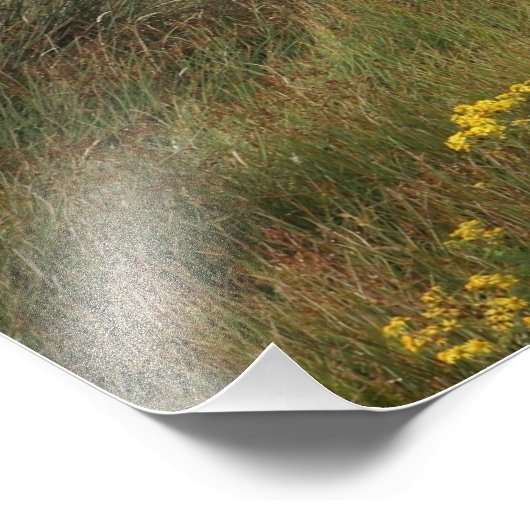 Vier Pferde am Meer Fotodruck (Ecke)