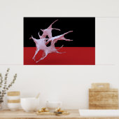 Vier Pferde Poster (Küche)