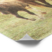Vier Pferde Poster (Ecke)
