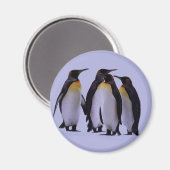 Vier Pinguine Magnet (Vorderseite/Rückseite)
