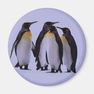Vier Pinguine Magnet