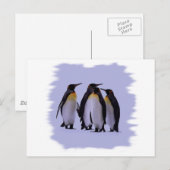 Vier Pinguine Postkarte (Vorne/Hinten)