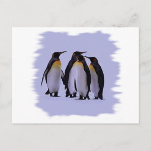 Vier Pinguine Postkarte