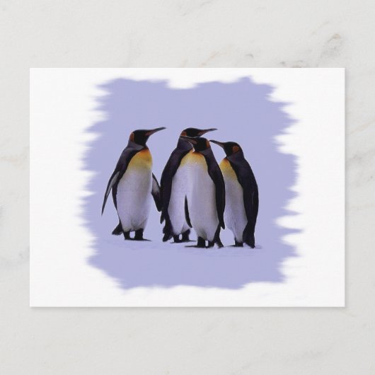 Vier Pinguine Postkarte (Vorderseite)