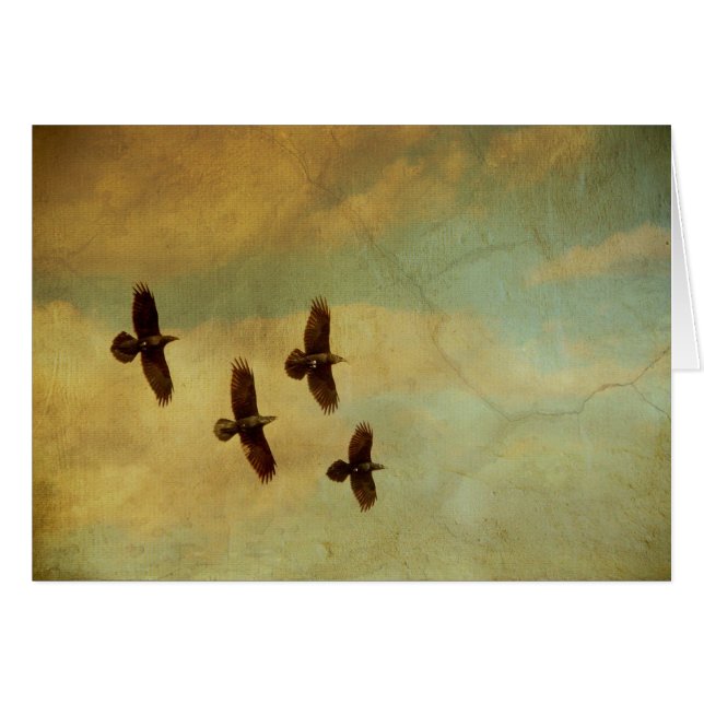 Vier Raben-Fliegen (Vorderseite (Horizontal))