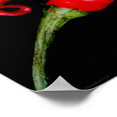 Vier Red Chilies wapcn Poster (Ecke)