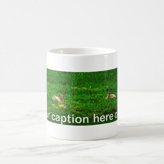 Vier Rehkaffee-Tasse Kaffeetasse (Mittel)