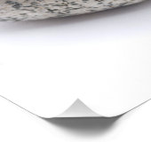 Vier Rollen Fotodruck (Ecke)