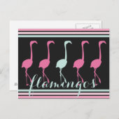 Vier rosa Flamingos ein helles Blau Postkarte (Vorne/Hinten)