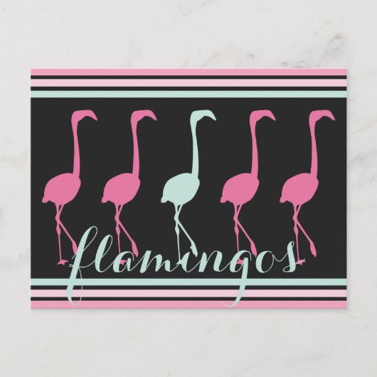 Vier rosa Flamingos ein helles Blau Postkarte (Vorderseite)