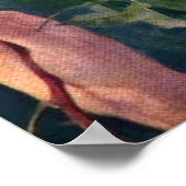 Vier Rose von Franz Dvorak Poster (Ecke)