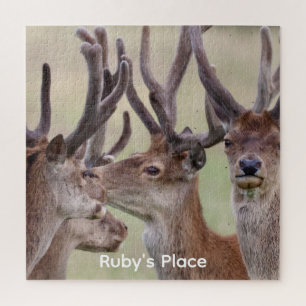Vier rote Hirsche Wildlife-Foto personalisiertes P Puzzle