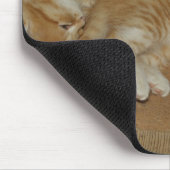 Vier rote Tabbies Mousepad (Ecke)